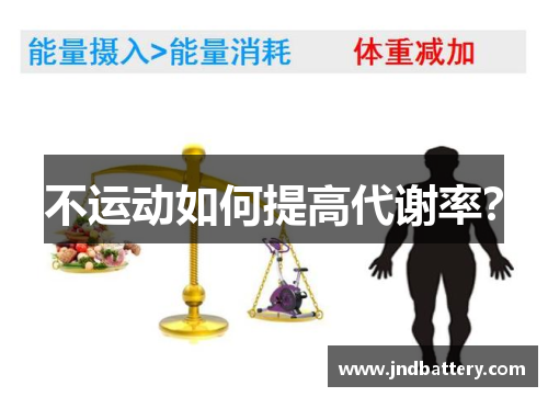 不运动如何提高代谢率？