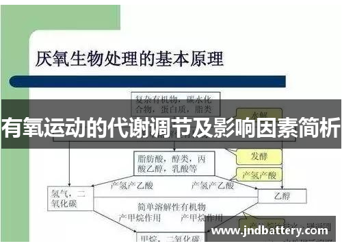 有氧运动的代谢调节及影响因素简析